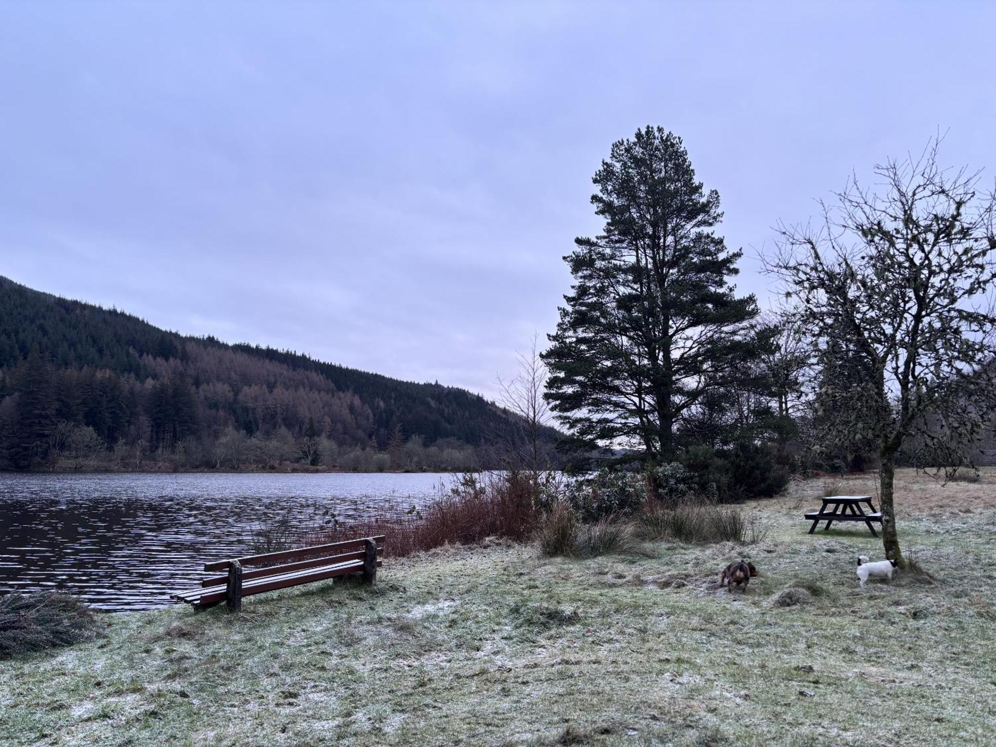 Bright Star Lodge Spean Bridge Extérieur photo